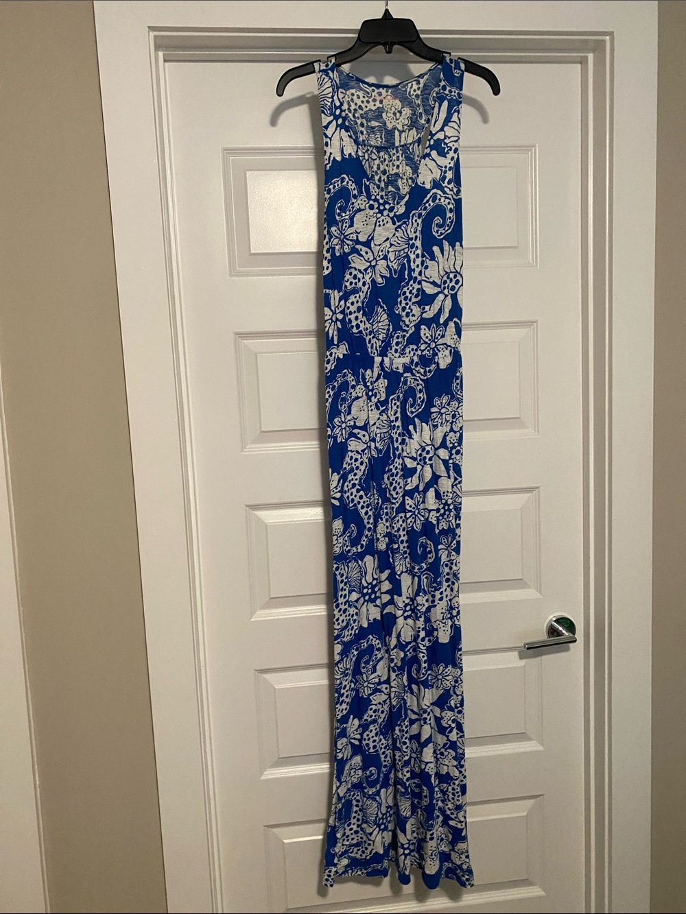 Lilly Pulitzer Blue and White Floral Paisley Maxi Dress